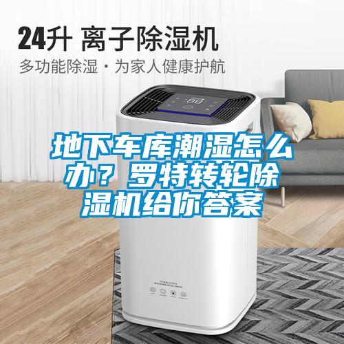 地下車庫(kù)潮濕怎么辦？羅特轉(zhuǎn)輪除濕機(jī)給你答案