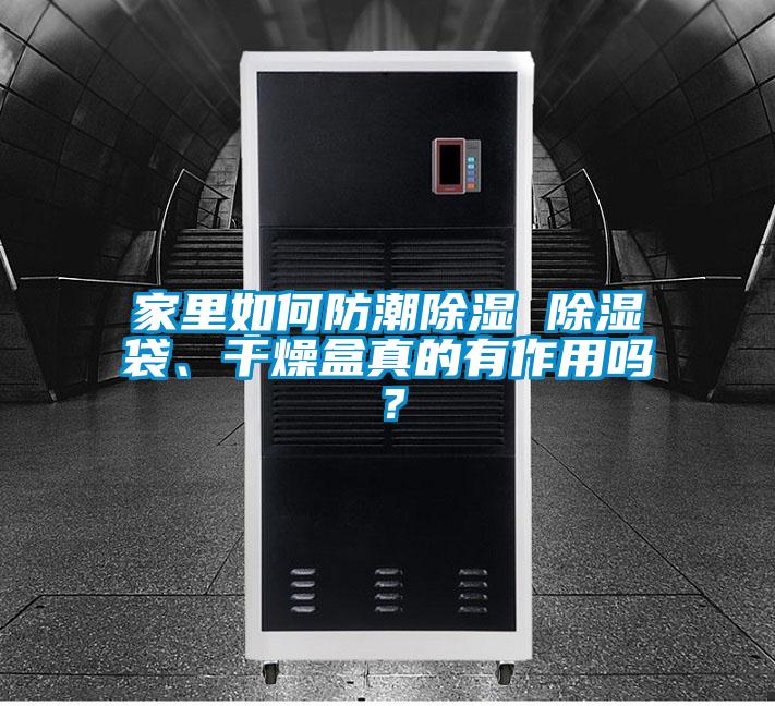 家里如何防潮除濕 除濕袋、干燥盒真的有作用嗎？
