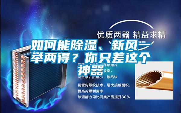如何能除濕、新風一舉兩得？你只差這個神器