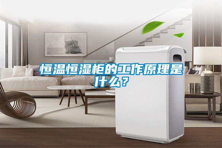 恒溫恒濕柜的工作原理是什么？