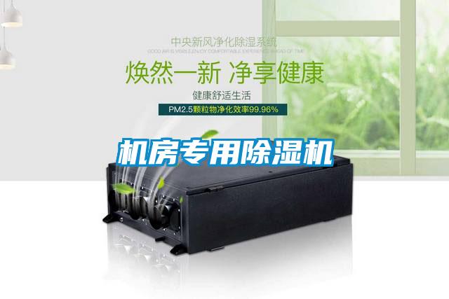 機(jī)房專(zhuān)用除濕機(jī)