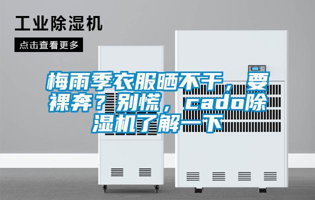 梅雨季衣服曬不干，要裸奔？別慌，cado除濕機了解一下