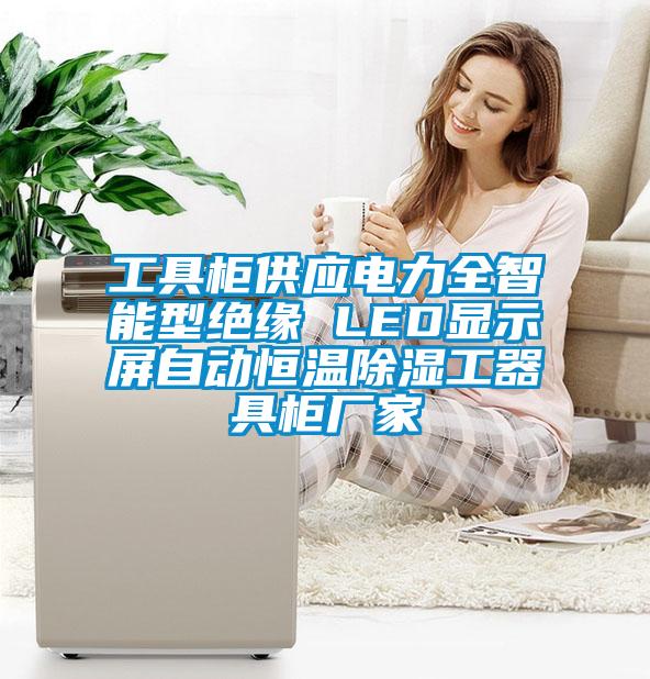 工具柜供應(yīng)電力全智能型絕緣 LED顯示屏自動恒溫除濕工器具柜廠家