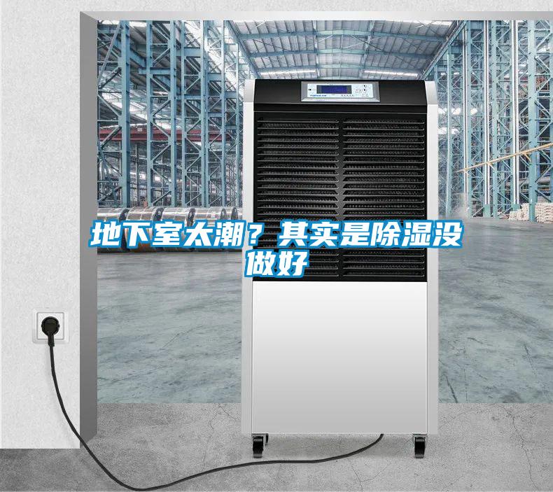 地下室太潮？其實是除濕沒做好