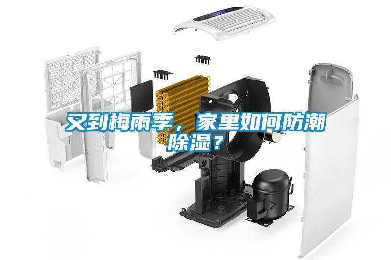 又到梅雨季，家里如何防潮除濕？