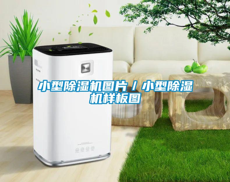 小型除濕機(jī)圖片／小型除濕機(jī)樣板圖