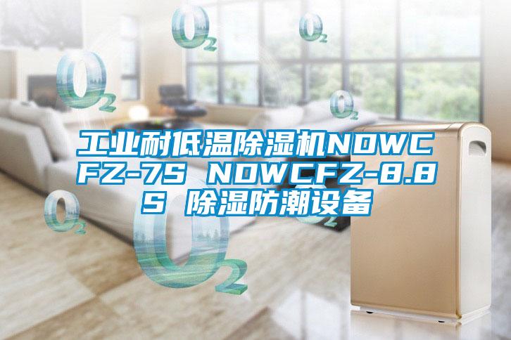 工業耐低溫除濕機NDWCFZ-7S NDWCFZ-8.8S 除濕防潮設備