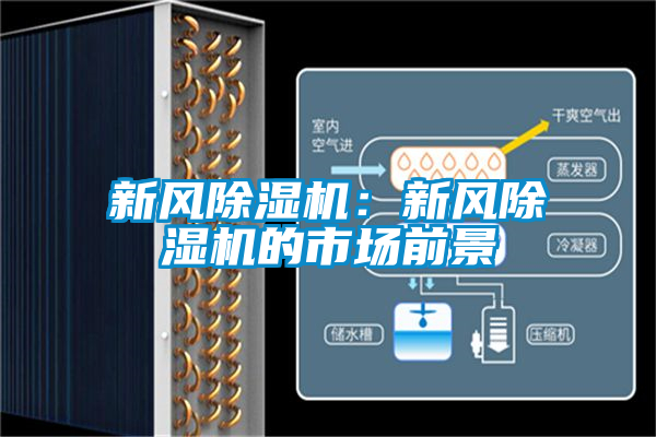 新風(fēng)除濕機：新風(fēng)除濕機的市場前景