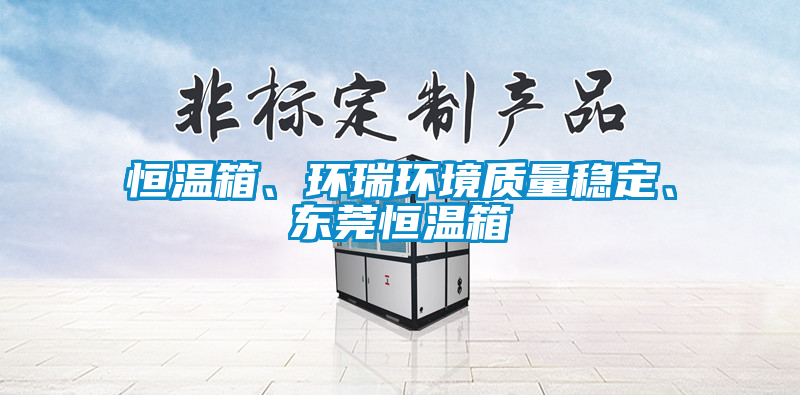 恒溫箱、環瑞環境質量穩定、東莞恒溫箱