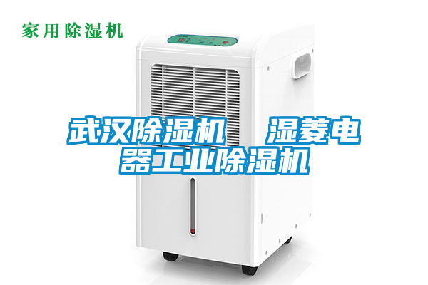 武漢除濕機(jī) 濕菱電器工業(yè)除濕機(jī)