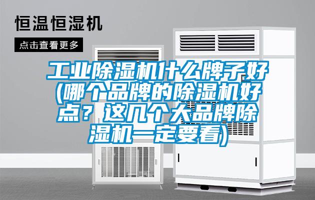 工業(yè)除濕機(jī)什么牌子好(哪個(gè)品牌的除濕機(jī)好點(diǎn)？這幾個(gè)大品牌除濕機(jī)一定要看)