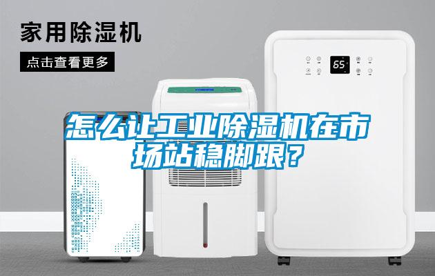 怎么讓工業(yè)除濕機在市場站穩(wěn)腳跟？