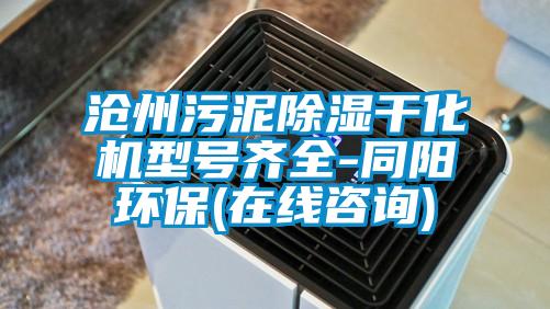 滄州污泥除濕干化機(jī)型號齊全-同陽環(huán)保(在線咨詢)