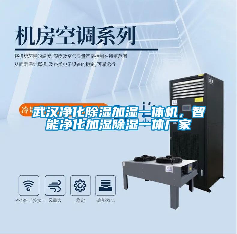 武漢凈化除濕加濕一體機，智能凈化加濕除濕一體廠家