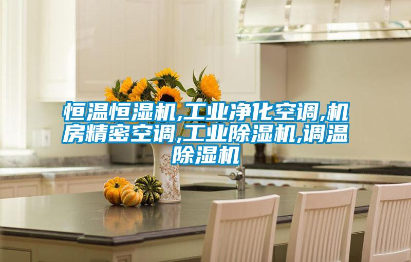 恒溫恒濕機,工業凈化空調,機房精密空調,工業除濕機,調溫除濕機