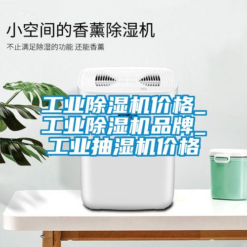 工業除濕機價格_工業除濕機品牌_工業抽濕機價格