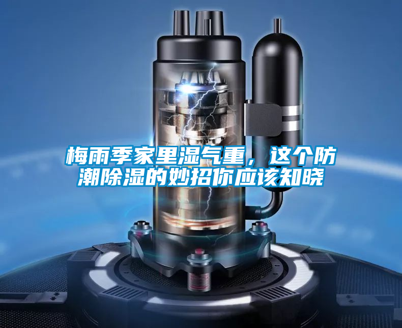 梅雨季家里濕氣重，這個防潮除濕的妙招你應(yīng)該知曉