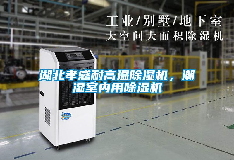 湖北孝感耐高溫除濕機，潮濕室內用除濕機