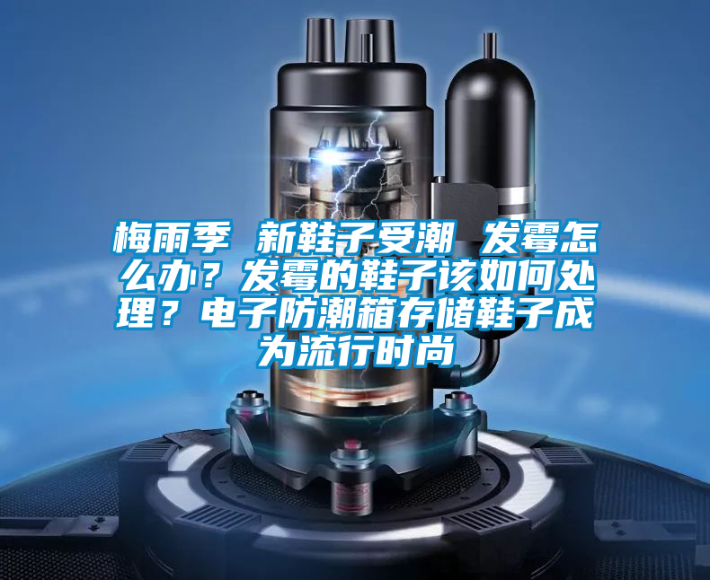 梅雨季 新鞋子受潮 發(fā)霉怎么辦？發(fā)霉的鞋子該如何處理？電子防潮箱存儲鞋子成為流行時尚