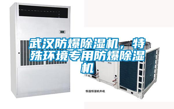 武漢防爆除濕機，特殊環境專用防爆除濕機