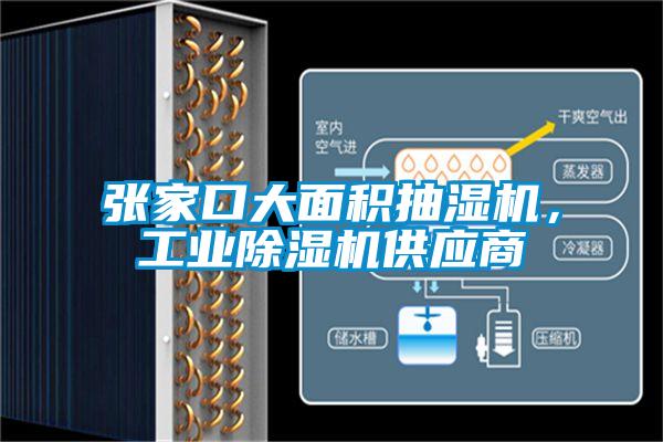 張家口大面積抽濕機，工業除濕機供應商