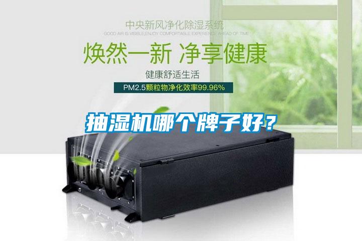 抽濕機哪個牌子好？