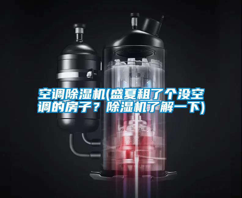 空調除濕機(盛夏租了個沒空調的房子？除濕機了解一下)