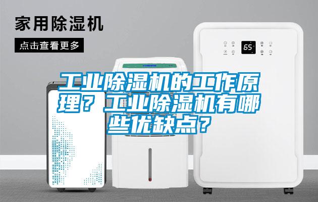 工業除濕機的工作原理？工業除濕機有哪些優缺點？