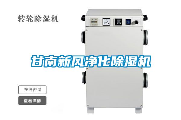 甘南新風(fēng)凈化除濕機