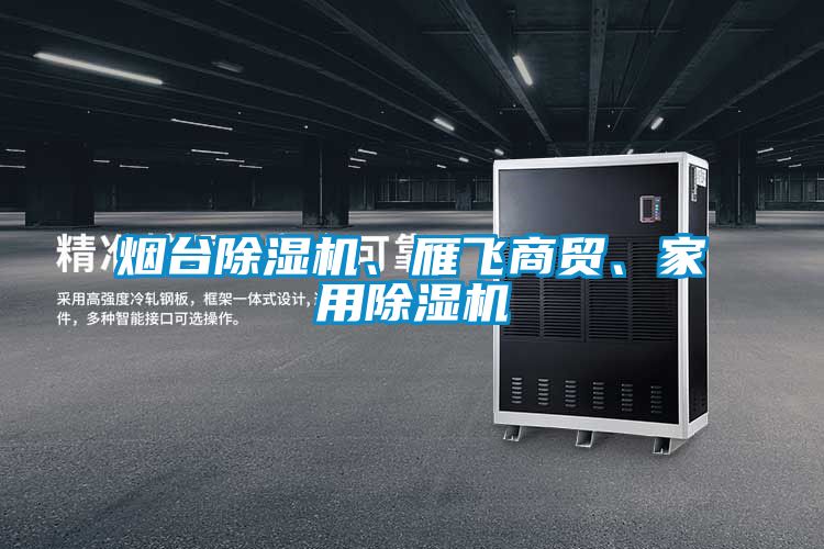 煙臺除濕機、雁飛商貿、家用除濕機