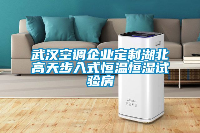 武漢空調(diào)企業(yè)定制湖北高天步入式恒溫恒濕試驗房