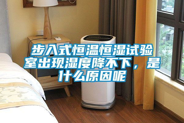 步入式恒溫恒濕試驗室出現(xiàn)濕度降不下，是什么原因呢