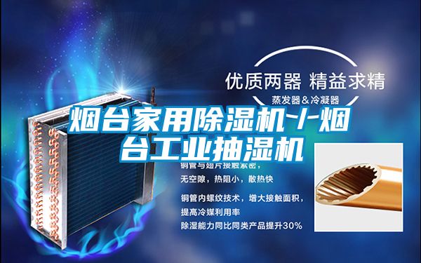 煙臺家用除濕機/煙臺工業抽濕機