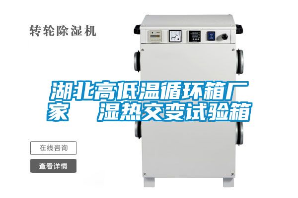 湖北高低溫循環箱廠家 濕熱交變試驗箱