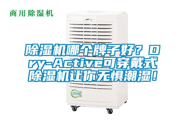除濕機哪個牌子好？Dry-Active可穿戴式除濕機讓你無懼潮濕！