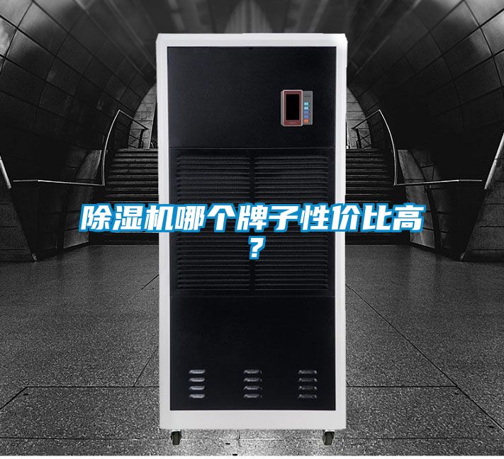 除濕機哪個牌子性價比高？