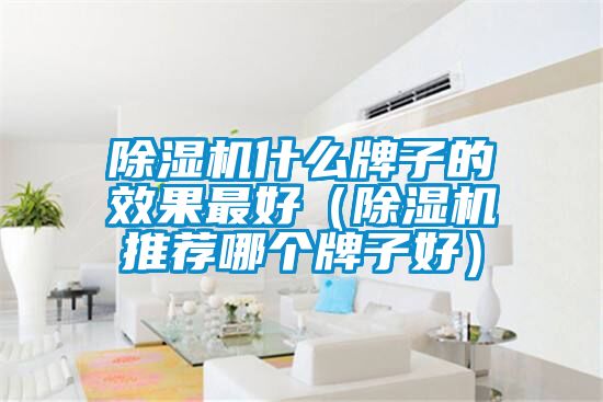 除濕機(jī)什么牌子的效果最好（除濕機(jī)推薦哪個(gè)牌子好）