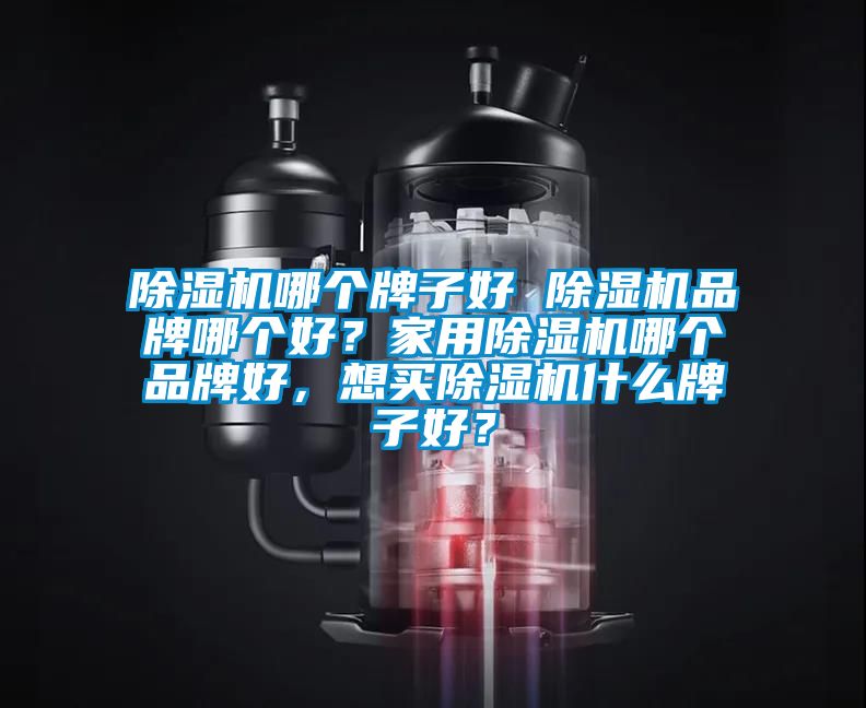 除濕機哪個牌子好 除濕機品牌哪個好？家用除濕機哪個品牌好，想買除濕機什么牌子好？