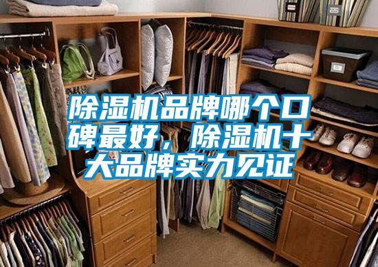 除濕機品牌哪個口碑最好，除濕機十大品牌實力見證