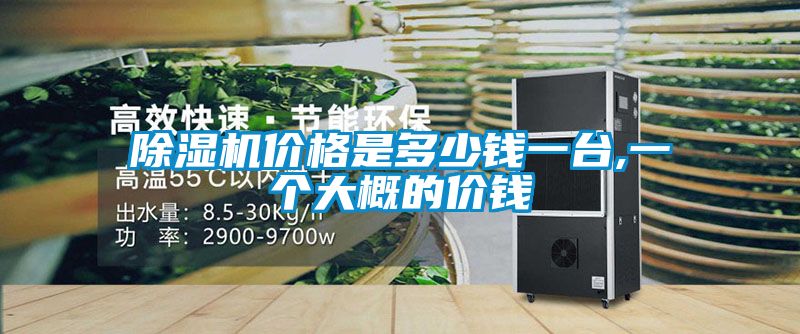 除濕機(jī)價(jià)格是多少錢一臺,一個大概的價(jià)錢