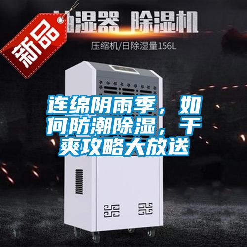 連綿陰雨季，如何防潮除濕，干爽攻略大放送