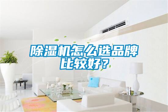 除濕機怎么選品牌比較好？
