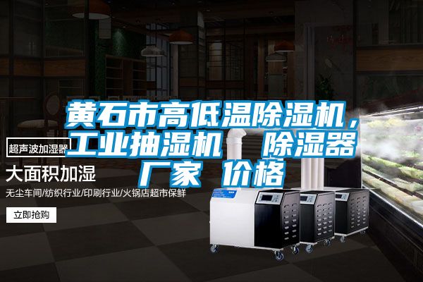 黃石市高低溫除濕機，工業(yè)抽濕機  除濕器廠家 價格