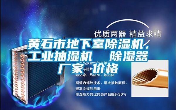 黃石市地下室除濕機(jī)，工業(yè)抽濕機(jī)  除濕器廠家 價格