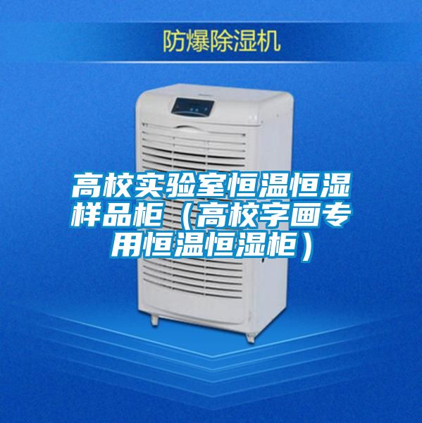 高校實(shí)驗(yàn)室恒溫恒濕樣品柜（高校字畫專用恒溫恒濕柜）