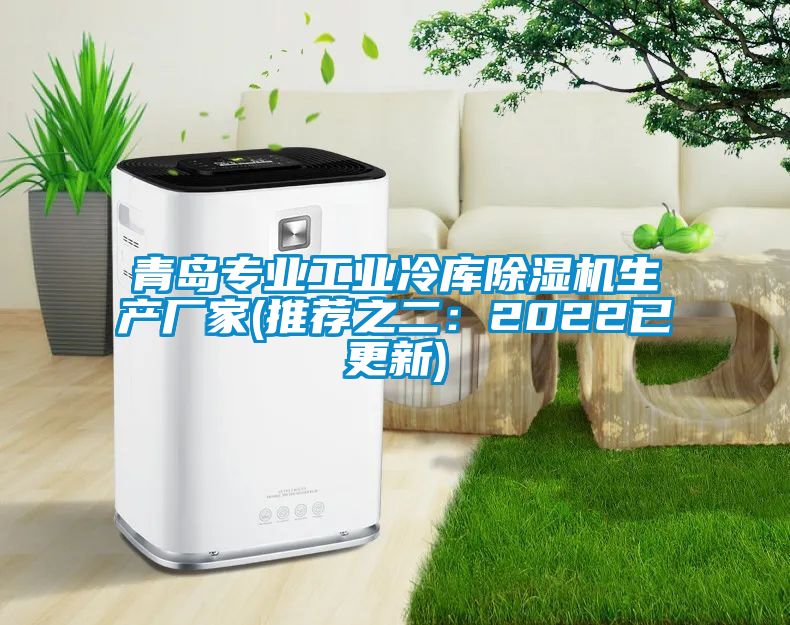 青島專業(yè)工業(yè)冷庫除濕機生產(chǎn)廠家(推薦之二：2022已更新)